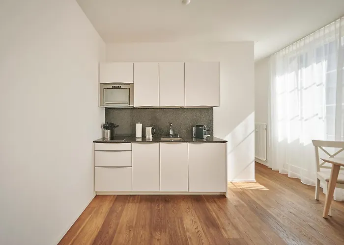 4, Modern Bern, Big Privat Terrace